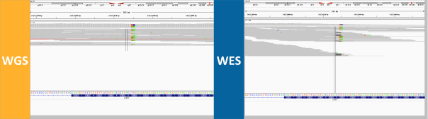 discordant-genotype-3-longer-reads-span-repeat