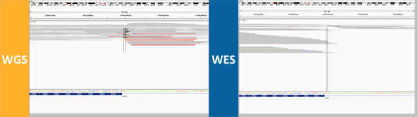 discordant-genotype-4-position-in-read