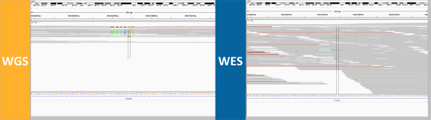 discordant-genotype-5-dense-mnp