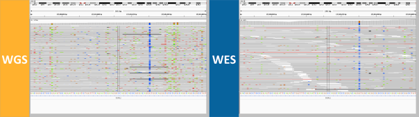 discordant-genotype-6-curse-of-massive-depth