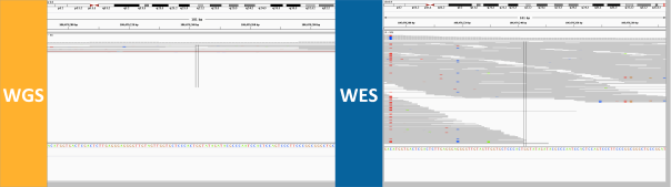 discordant-genotype-7-no-read-support-whatsoever